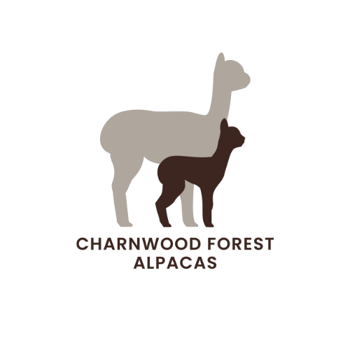 Charnwood Forest Alpacas