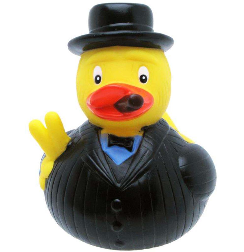Churchill Duck