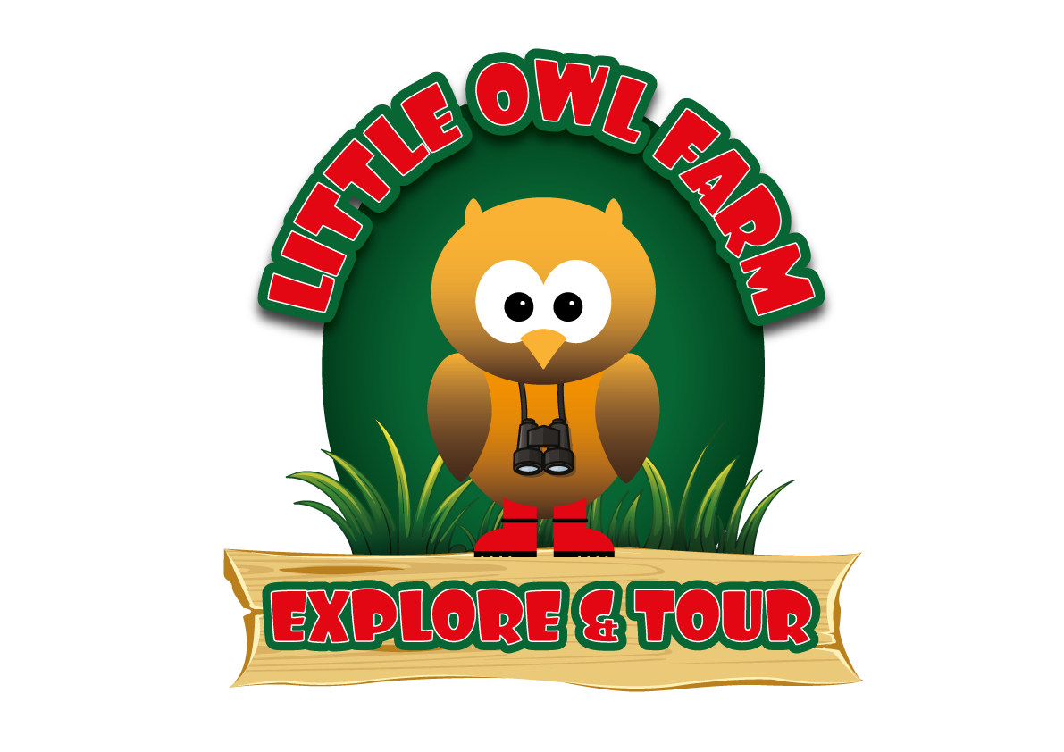 Little Owl Logo